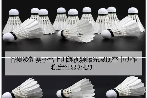 谷爱凌新赛季雪上训练视频曝光展现空中动作稳定性显著提升 - BoyuSports